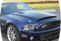 Recycled Shelby Parts
